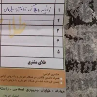 یک عدد زنجیر پلاک فانتزی گمشده است