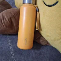 فلاکس دمنوش