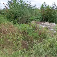 زمین فروشی مسکونی|فروش زمین و ملک کلنگی|رشت, احمد گوراب|دیوار