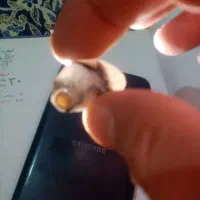 جواهر مروارید عتیقه که ازشکم ماهی دراومده