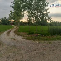 خریدحرفه‌ای وتضمینی زمین سنددارتوسط تیم املاکباشی
