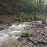 تدریس خصوصی پایه اول تا چهارم ابتدایی ساعتی 150