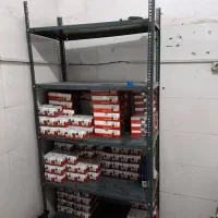 گریس و قفسه