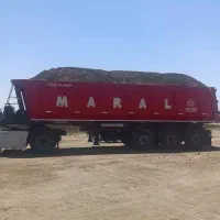 کود گاوی