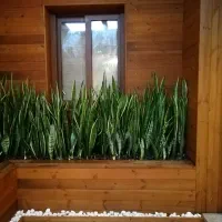 ترمو وود سونا الاچیق روف گاردن