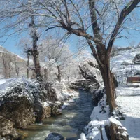 سوییت نوساز وشیک لب رودخانه و دشت|اجارهٔ کوتاهمدت ویلا و باغ|آلاشت, |دیوار