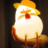 شب خواب اردک