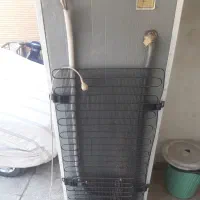 یخچال فریزربه شرط سالم