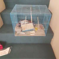 قفس با وسیله اش|لوازم جانبی حیوانات|تهران, فرزانه|دیوار