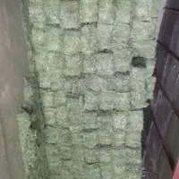 یونجه تازه تمیز  بسته بندی شده