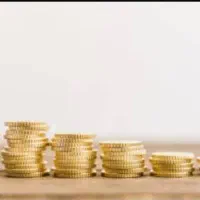 جذب سرمایه گذار