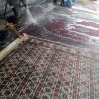 کارگر ساده قالیشویی|استخدام سرایداری و نظافت|بابل, |دیوار