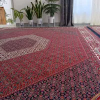 فرش کلا فرهنگ ۲عدد