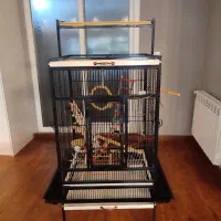 دو عدد قفس+وسایل بازی پرنده+کیف حمل پرنده|لوازم جانبی حیوانات|نوشهر, |دیوار