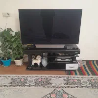 تلوزیون ۵۵اینج بفروش میرسدبدلیل بدهی