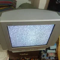 تلویزیون
