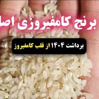 ۹۰ کیلو برنج کامفیروزی درجه یک۲۸۰ تومان