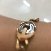 فروش ۴۰ گرم طلا