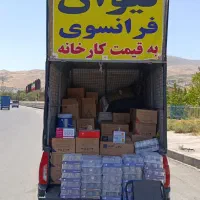 لیوان فرانسوی ب قیمت کارخانه