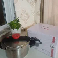 زود پز پارس استیل