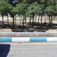 فروش ۱۰هزارمتر زمین بر اتوبان ۱۰۰متر بر    ورامین|فروش دفتر صنعتی، کشاورزی، تجاری|جوادآباد, |دیوار