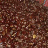 شاه بلوط محلی|خوردنی و آشامیدنی|رشت, حمیدیان|دیوار