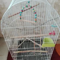 قفس زینتی بزرگ باتمام تجهیزات|لوازم جانبی حیوانات|فولادشهر, A2|دیوار