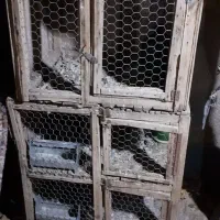 دو عدد جفت کن سالم و خوب|لوازم جانبی حیوانات|قنوات, |دیوار