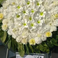 اجاره و کرایه تاج گل مصنوعی ترحیم معرف ب خیریه|خدمات پذیرایی، مراسم|تهران, هروی|دیوار