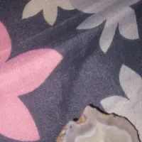 جواهر۰سنگ۰شجر۰معدن۰بزرگ۰شفاف۰|جواهرات|فردیس, شهرک وحدت|دیوار