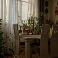 میز ناهار خوری ۶ نفره|میز و صندلی غذاخوری|شیراز, طلاب|دیوار