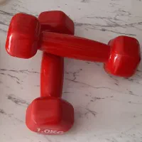 دمبل یک کیلویی روکش دار برند رکورد|تجهیزات ورزشی|تهران, جنت‌آباد مرکزی|دیوار