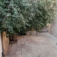 اجاره-حیاط-ویلایی-تمام-رهن-250یا-رهن-وجاره