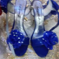 کفش‌های مجلسی