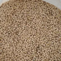 مقدار 1500یک تن نیم نخود بوجاری شده سال جدید