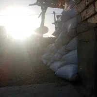 کاه درجه یک کاه کردستان سفید نرم