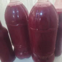 زرشک تازه باکیفیت خوب پاک شده با دستگاه|خوردنی و آشامیدنی|مشهد, رباط طرق|دیوار