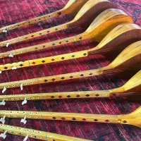 سه تار و دوتار