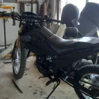 تریل اردکو، راتو