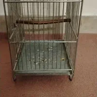 قفس