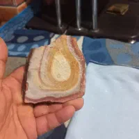 فسیل|کلکسیون اشیاء عتیقه|فیروزآباد (فارس), |دیوار