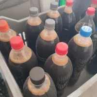 شیره وکشمش|خوردنی و آشامیدنی|دشتابی, |دیوار