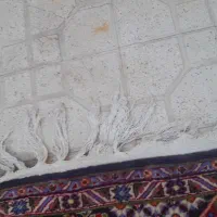 فرش ۱۲متری دستبافت سرمه ای|فرش|شیراز, شهرک مهدی‌آباد|دیوار