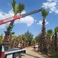 خدمات جرثقیل و بالابر|خدمات حمل و نقل|شیراز, شهرک گلستان|دیوار