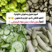 فروش حلزون طبی|خزنده|محمدشهر, همایون ویلا|دیوار