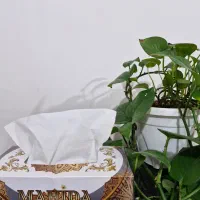 دستمال کاغذی