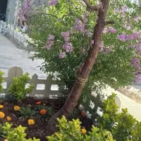 فروش-خونه-باغ-ویلایی