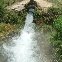 باغ-انگوری-وخانه-باغی