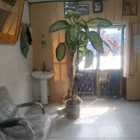گل فروشی کسی خواست در خدمتم قیمت 10 میلیون