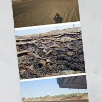 کود آلی فرآوری شده|خدمات باغبانی و درختکاری|آران و بیدگل, |دیوار